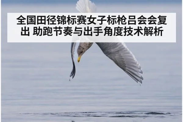 全国田径锦标赛女子标枪吕会会复出 助跑节奏与出手角度技术解析